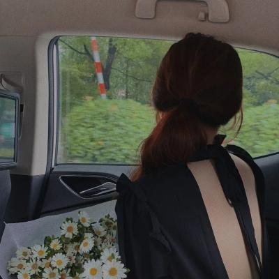 通天大逃犯：汽车大亨戈恩奇案