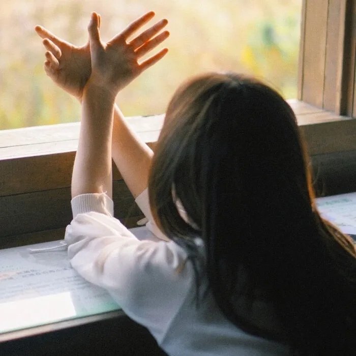 两个罪人和一头骡子